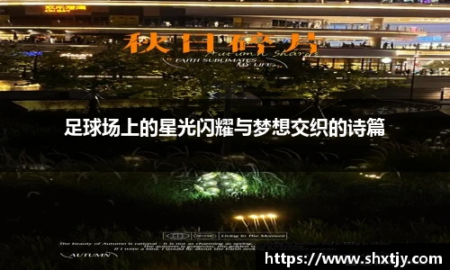 足球场上的星光闪耀与梦想交织的诗篇